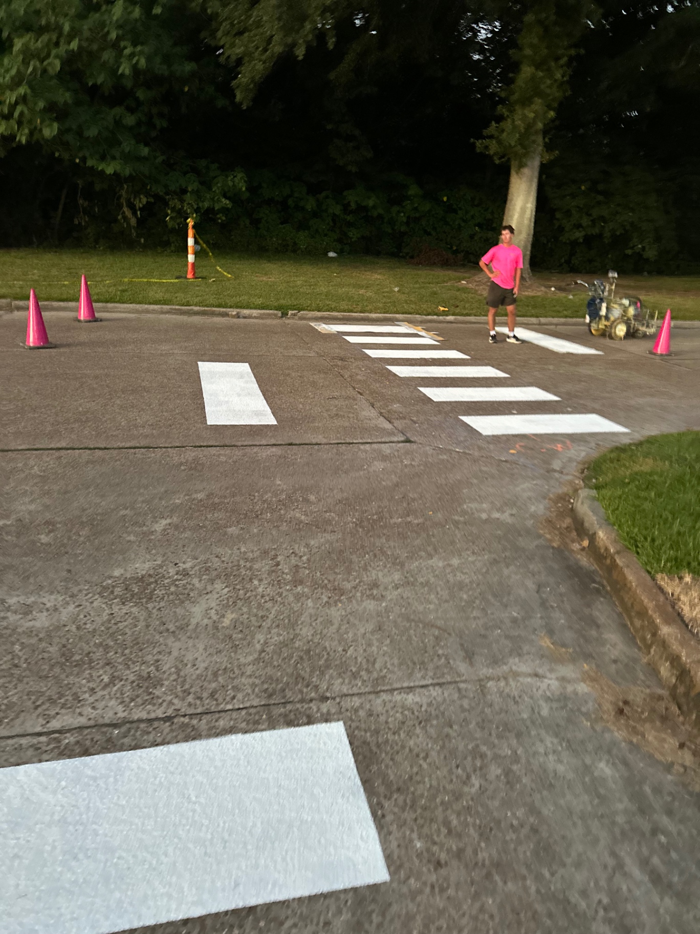 Fresh white pedestrian crosswalk markings